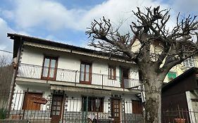 Casa Biciurlin